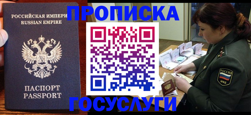 прописка в квартире в Щёлкино